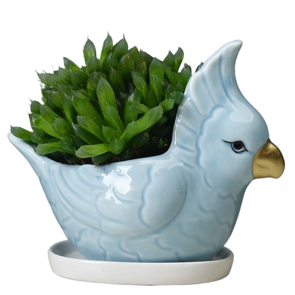 Creative Ceramic Bird Mask Flower Pot Planter for Succulents and Cactus