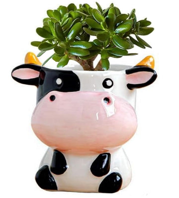 Ceramic Animal Succulent Planter with Drainage Hole for Indoor Plants