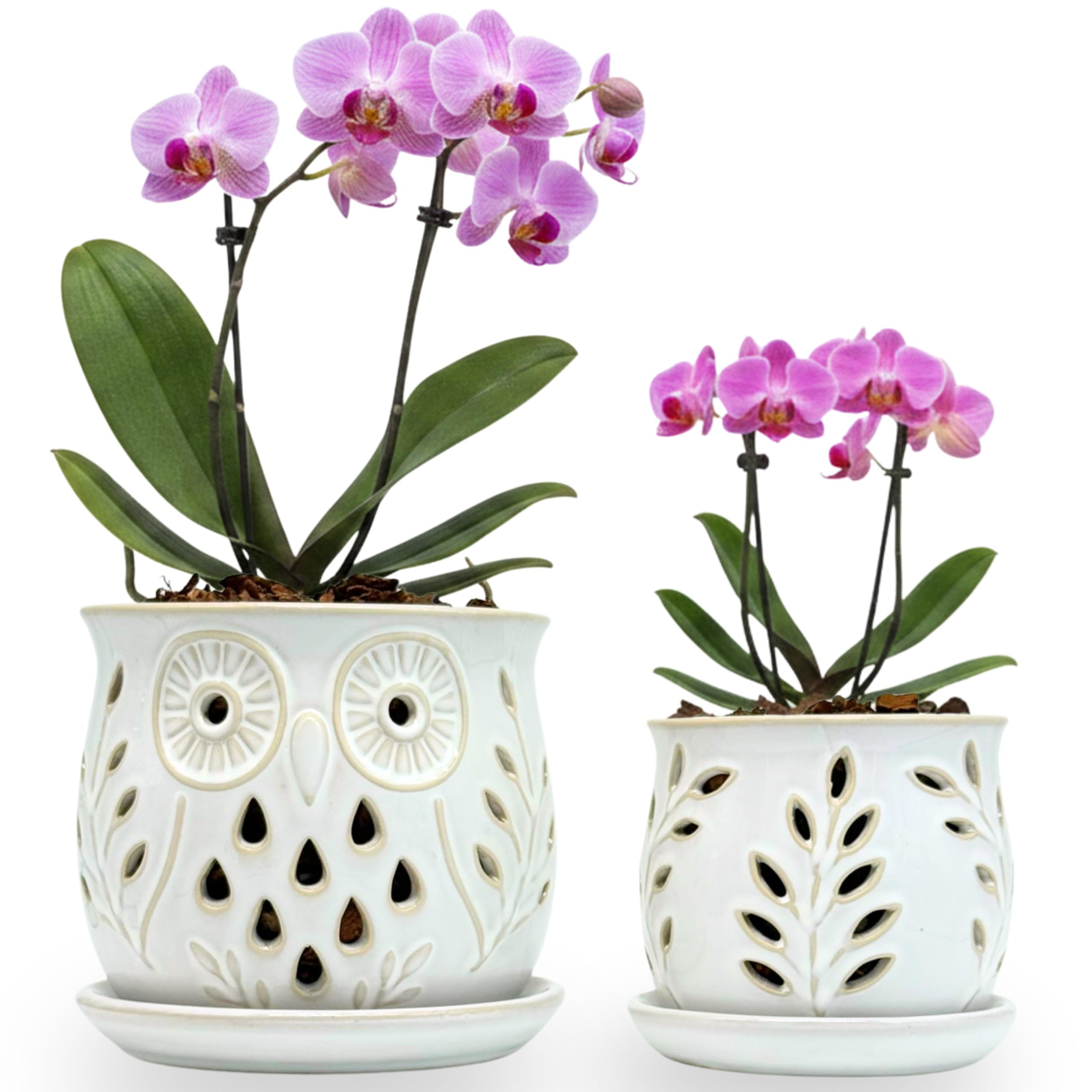 White Ceramic Orchid Pots with Holes