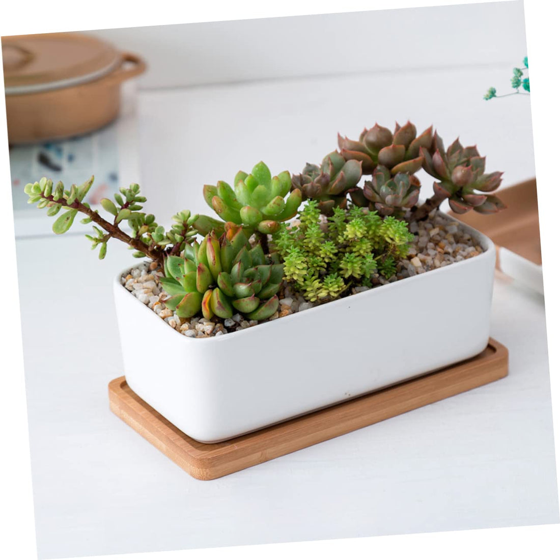 Ceramic Oblong Flower Pot Set with Tray for Succulents and Bonsai