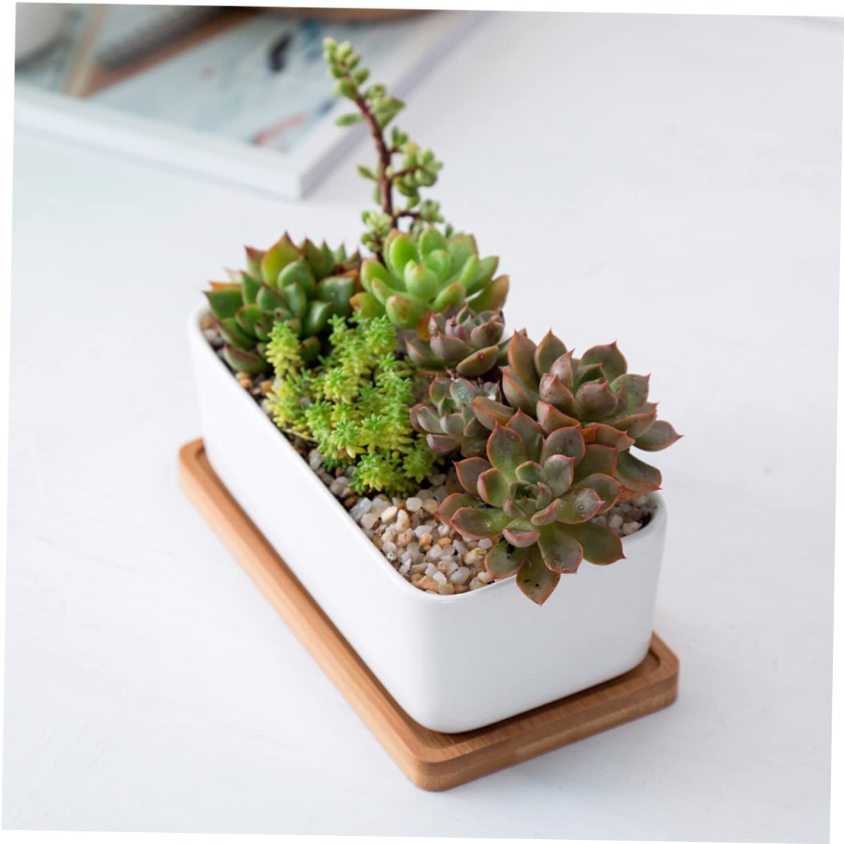 Ceramic Oblong Flower Pot Set with Tray for Succulents and Bonsai