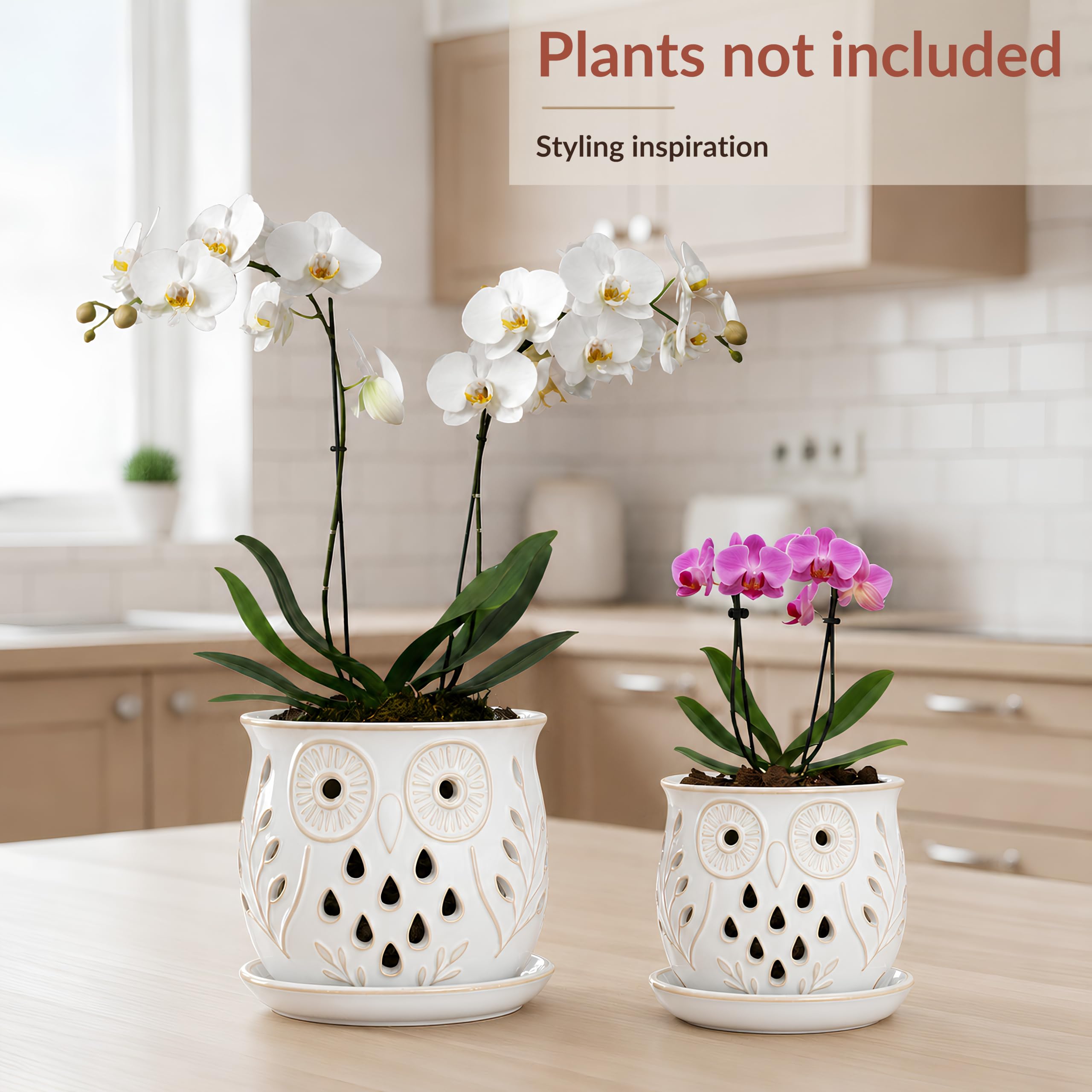 White Ceramic Orchid Pots with Holes