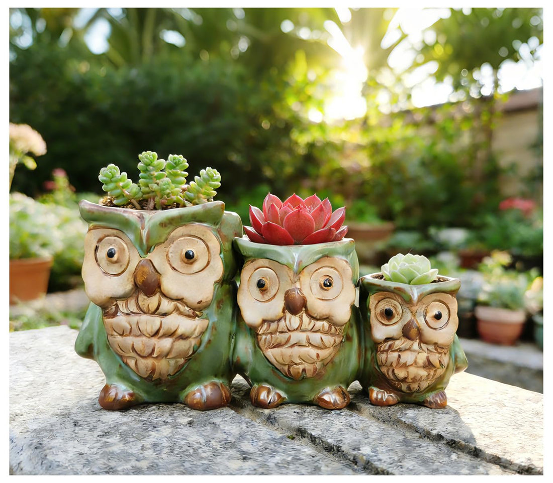 Three Owls Ceramic Planter Set with Drainage Holes for Succulents