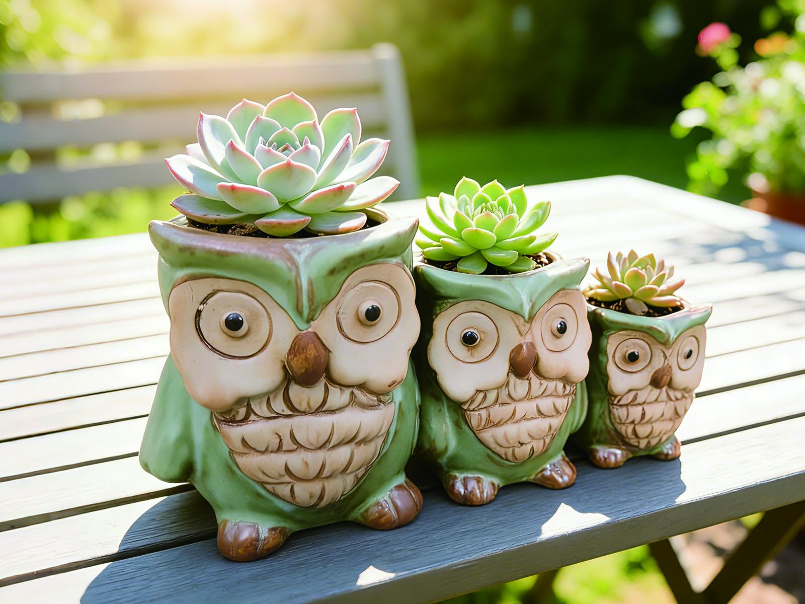 Three Owls Ceramic Planter Set with Drainage Holes for Succulents