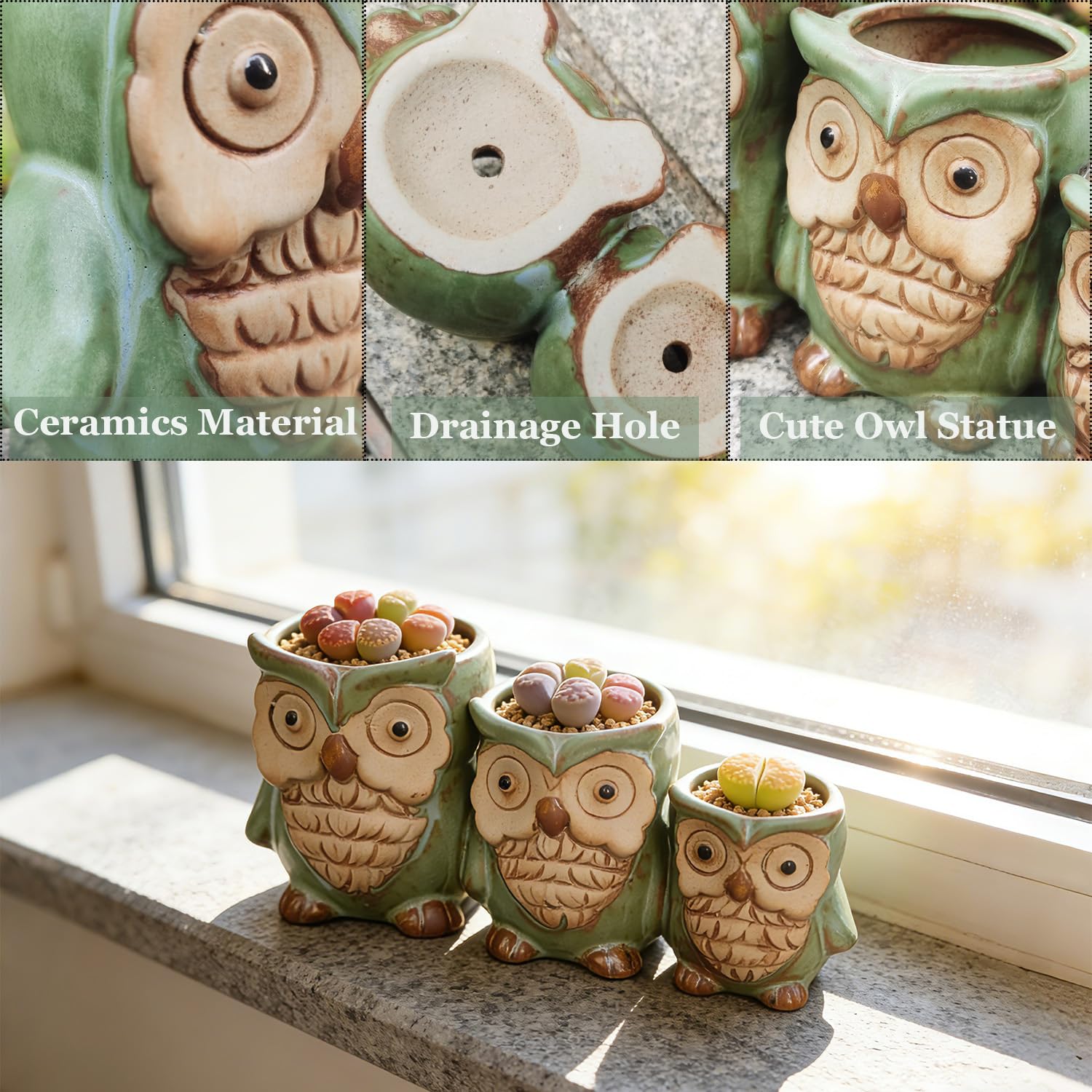 Three Owls Ceramic Planter Set with Drainage Holes for Succulents
