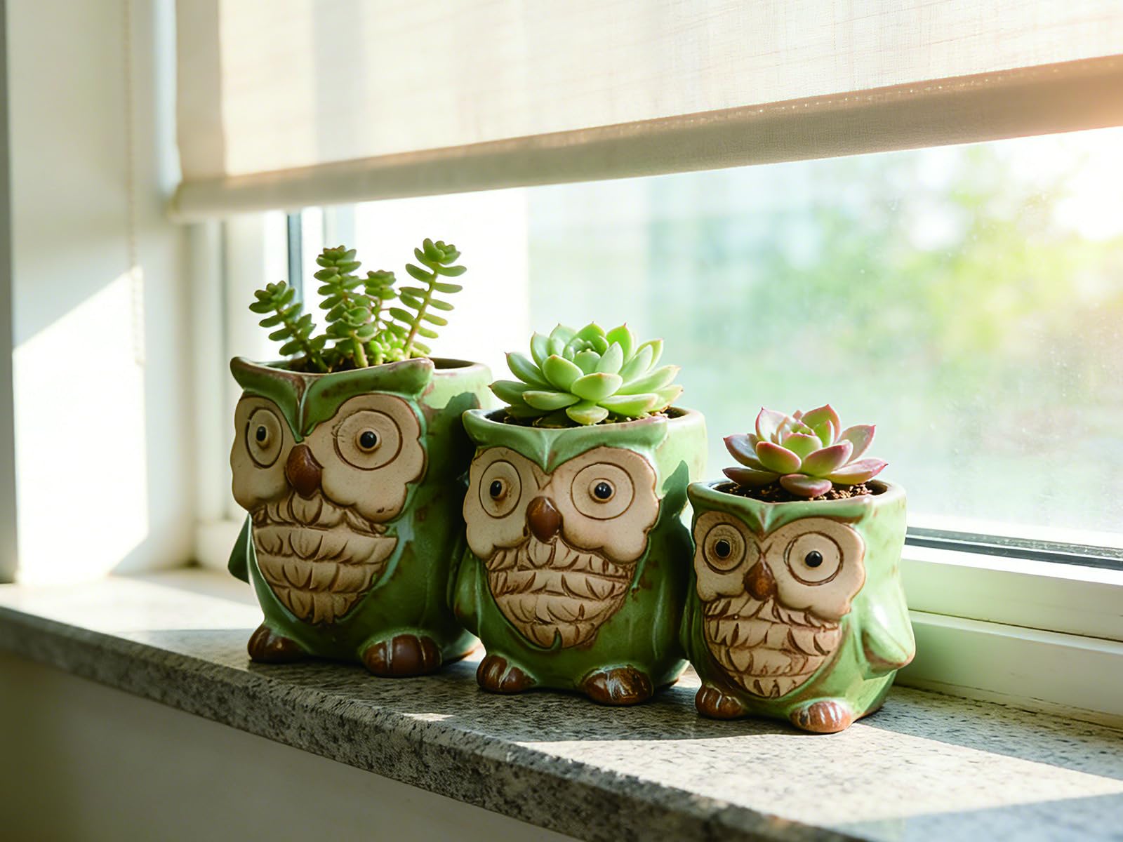 Three Owls Ceramic Planter Set with Drainage Holes for Succulents