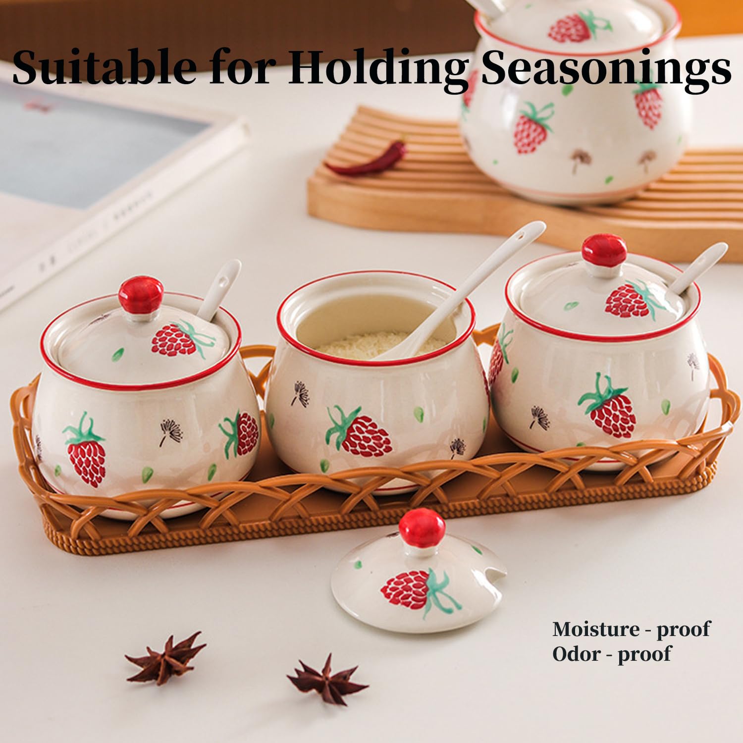 Japanese Style Ceramic Condiment Jar Set with Tray and Spoons