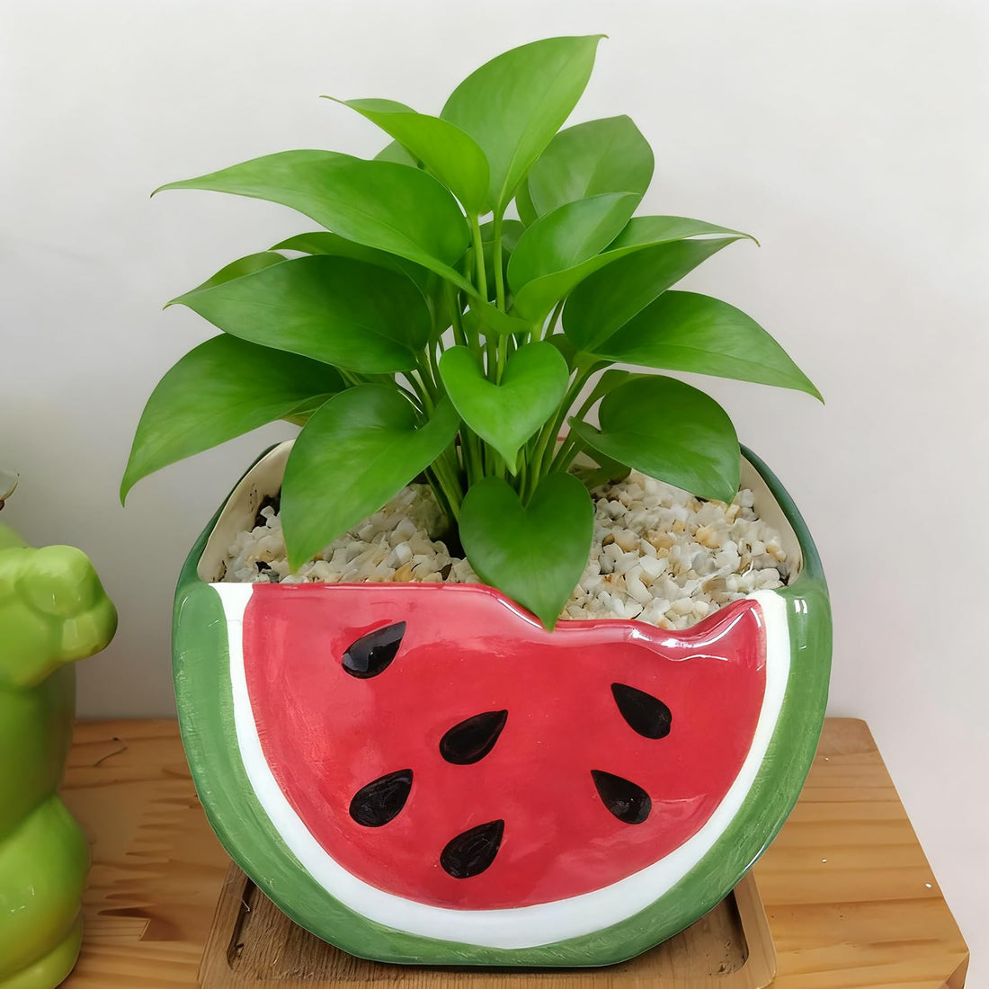 Cute Watermelon Shaped Ceramic Planter with Drainage Hole for Succulents