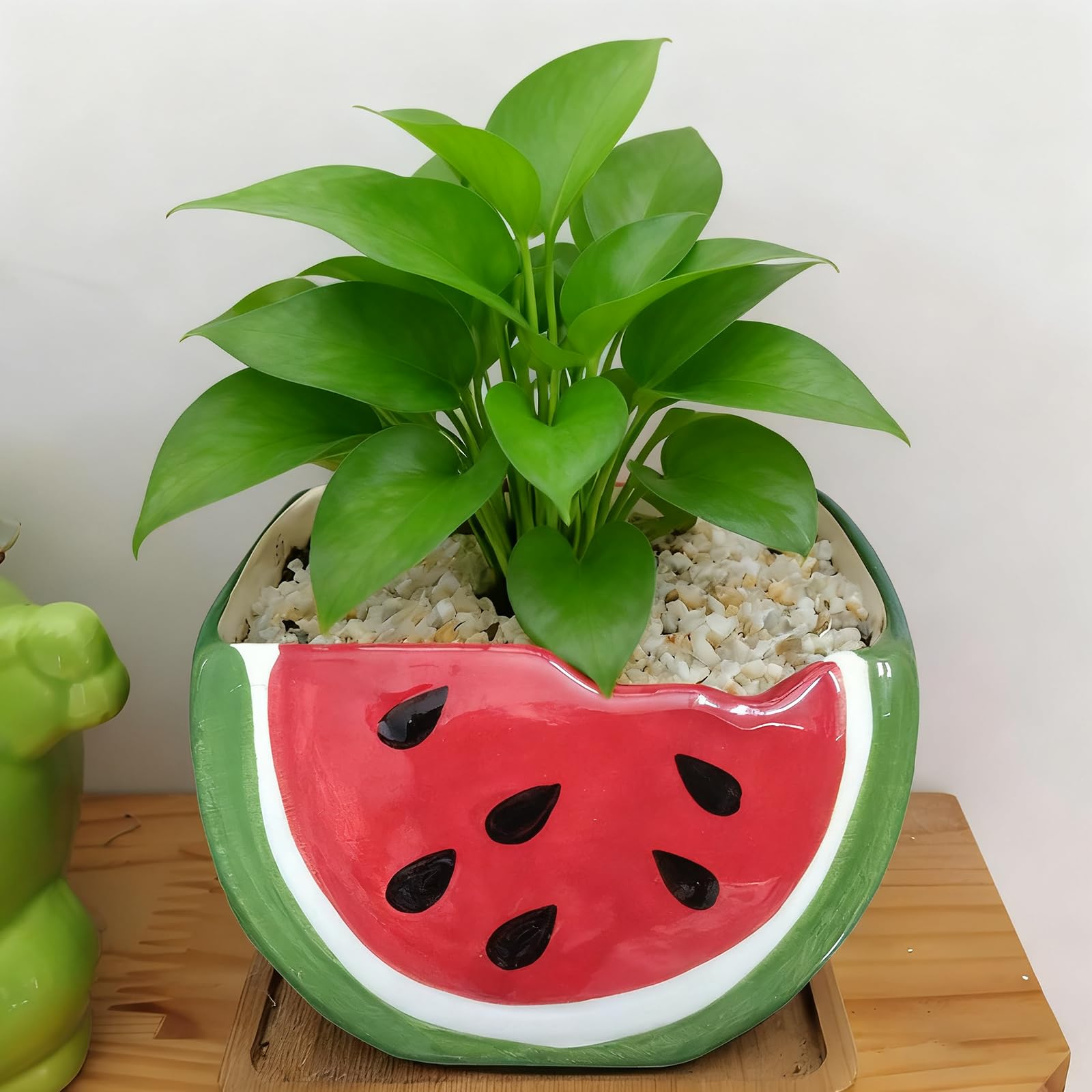 Cute Watermelon Shaped Ceramic Planter with Drainage Hole for Succulents