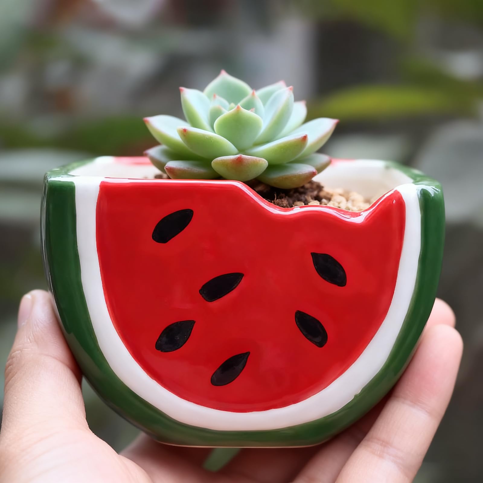 Cute Watermelon Shaped Ceramic Planter with Drainage Hole for Succulents