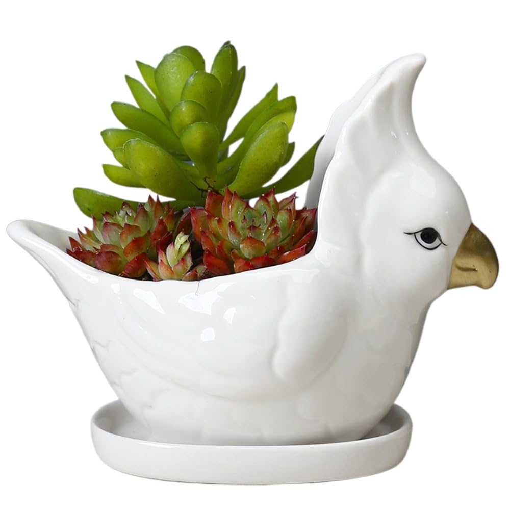 Creative Ceramic Bird Mask Flower Pot Planter for Succulents and Cactus