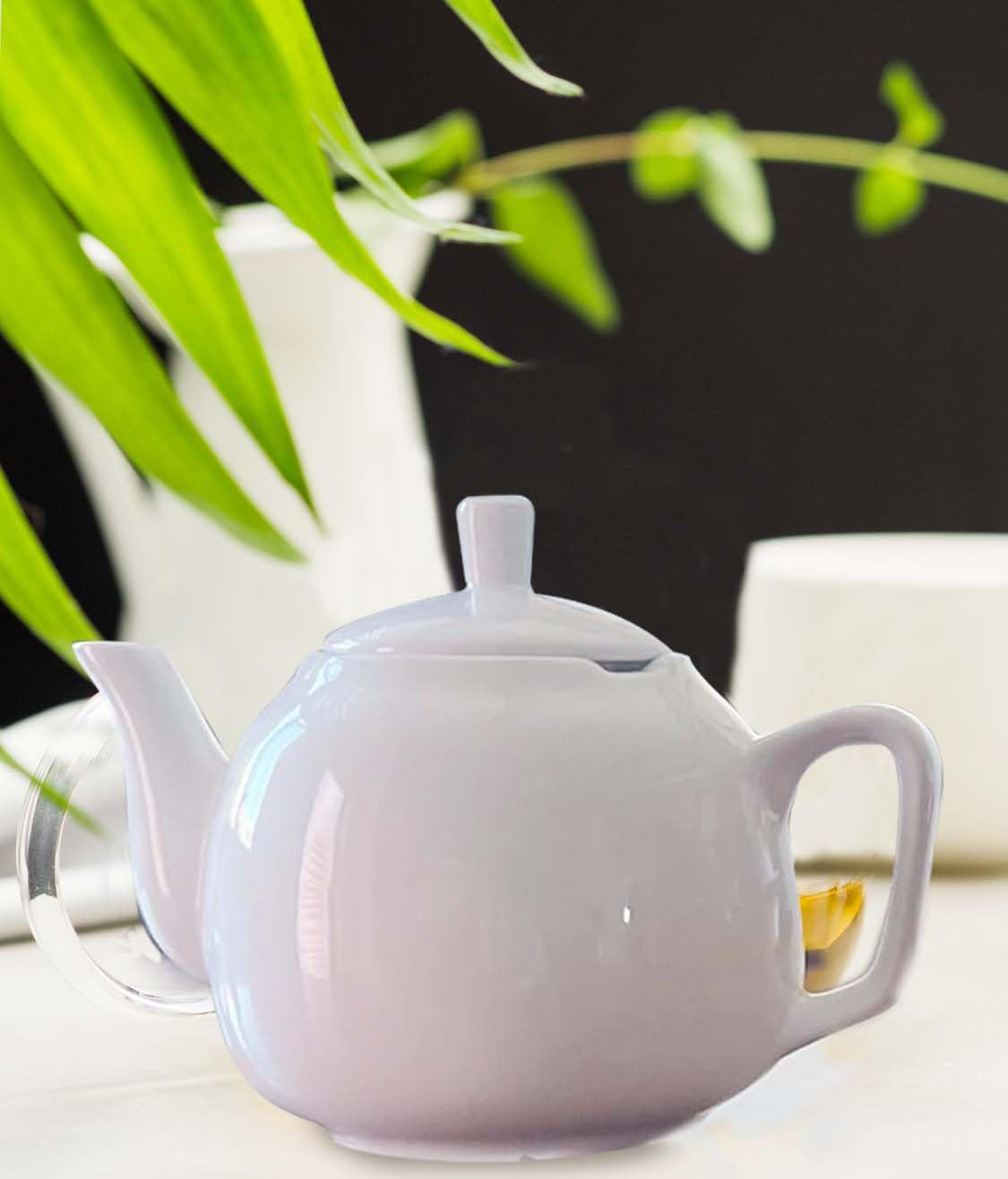 28-Ounce European Style Porcelain Teapot and Coffee Pot